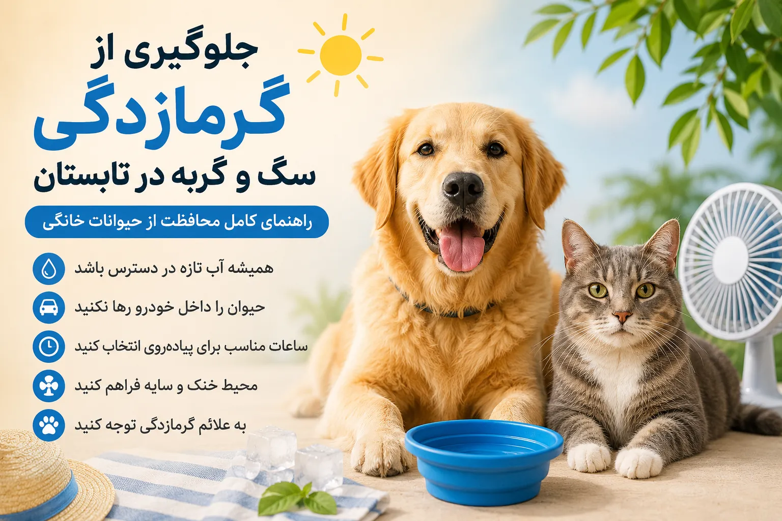 جلوگیری از گرمازدگی سگ و گربه در تابستان | راهنمای کامل محافظت از حیوانات خانگی