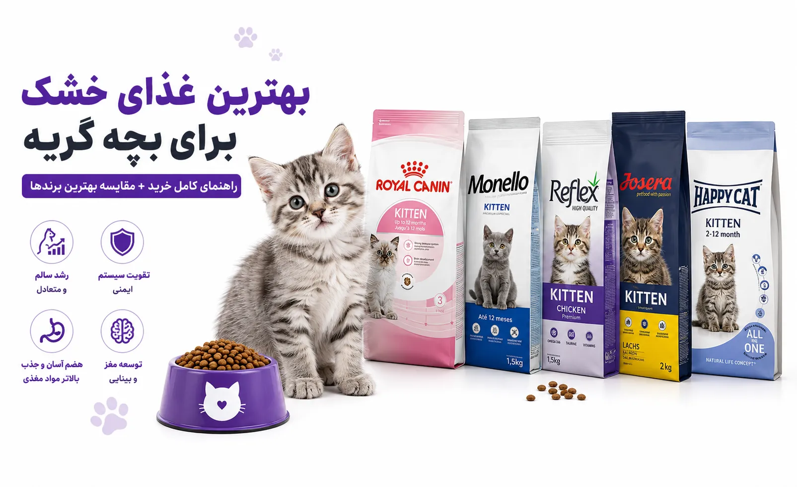 بهترین غذای خشک برای بچه گربه | راهنمای کامل خرید + مقایسه بهترین برندها