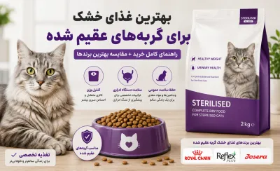 بهترین غذای خشک برای گربه‌های عقیم شده | راهنمای کامل خرید
