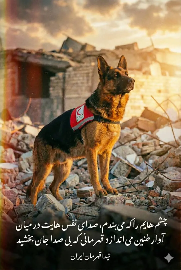 تیدا، سگ قهرمان عملیات‌های پلاسکو و متروپل، درگذشت