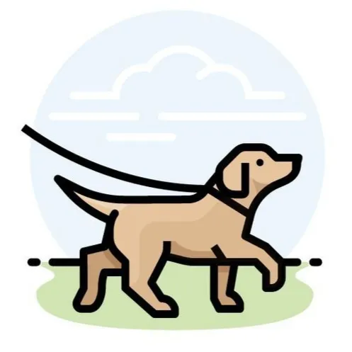 آموزش و تربیت سگ