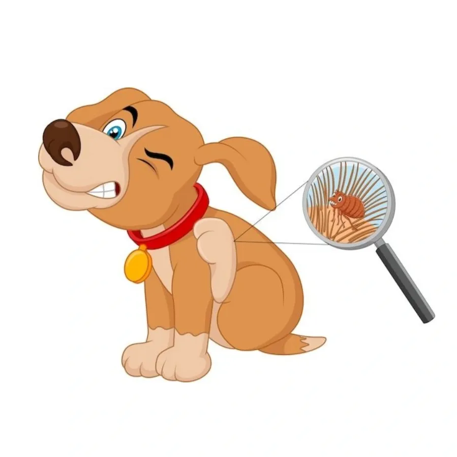 ضد کک و کنه سگ