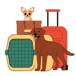 وسایل حمل و سفر سگ