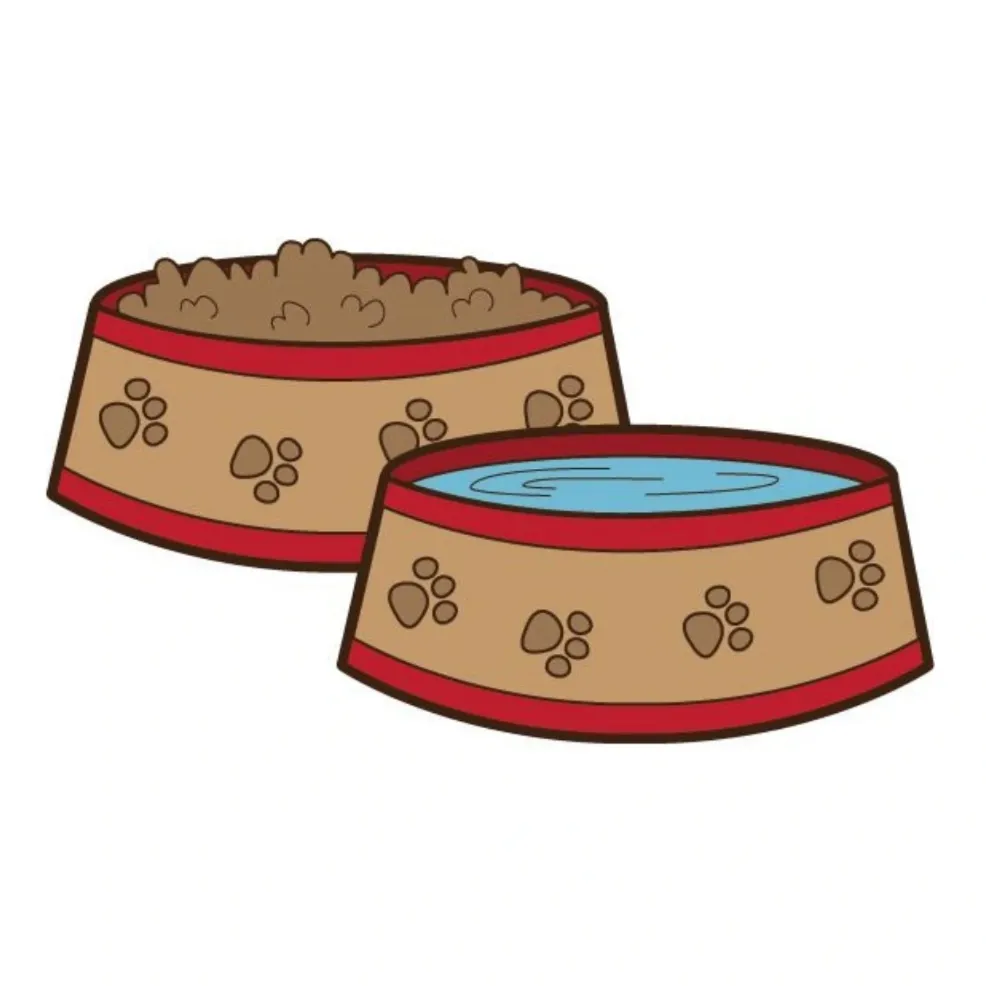 ظروف و لوازم جانبی سگ