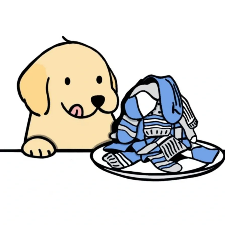 پوشاک و لباس سگ