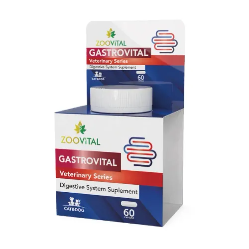 قرص مکمل دستگاه گوارش گربه Zoovital مدل گستروویتال